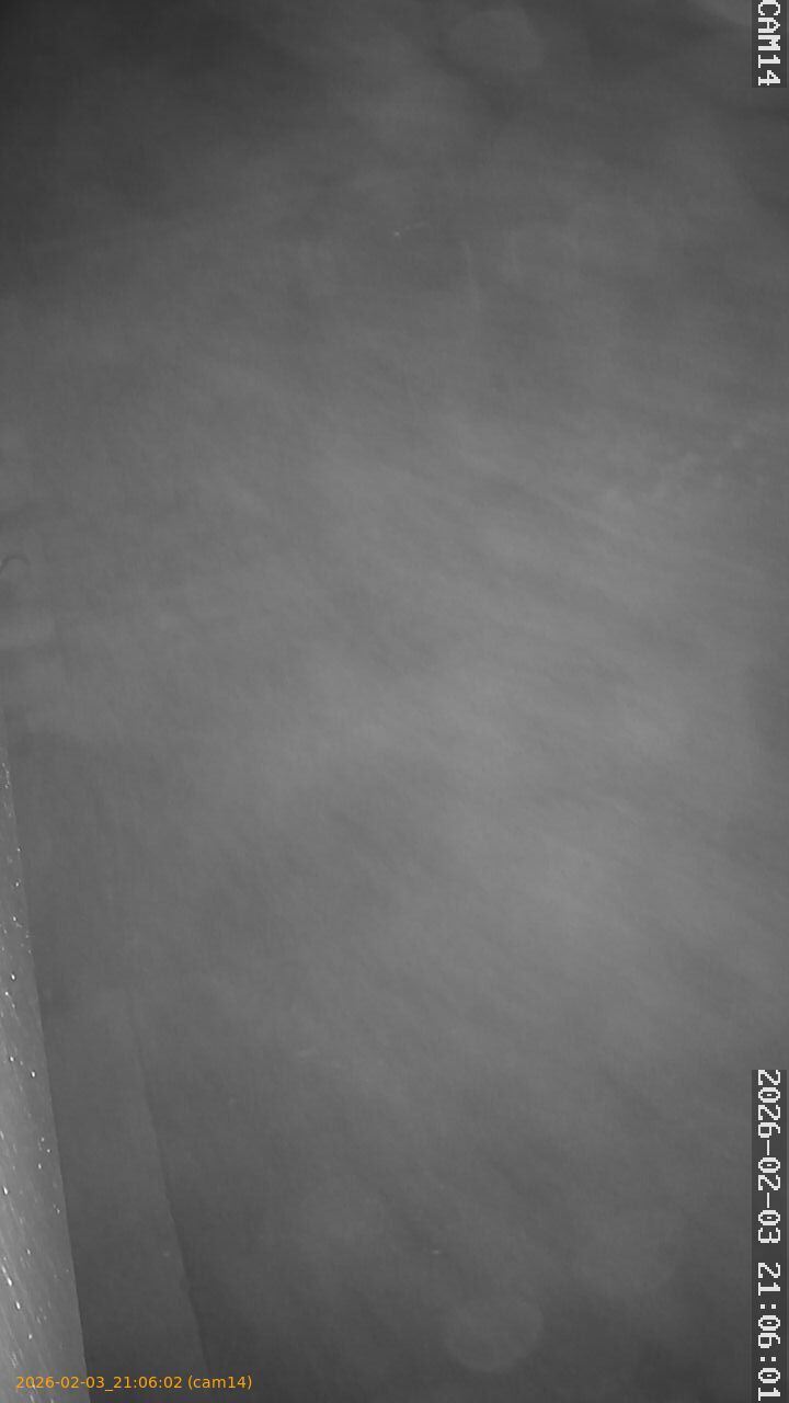 thumbnail_20260203210602