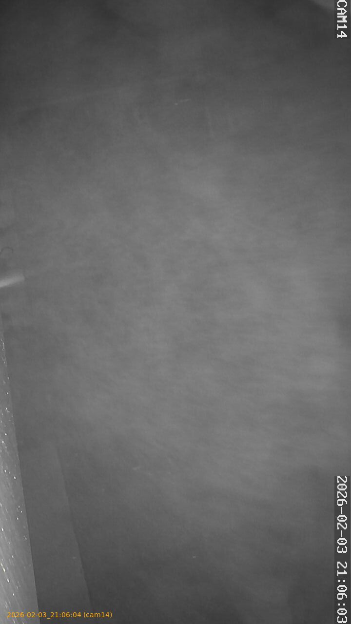 thumbnail_20260203210604