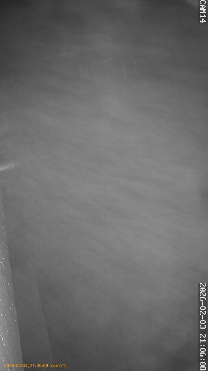 thumbnail_20260203210609