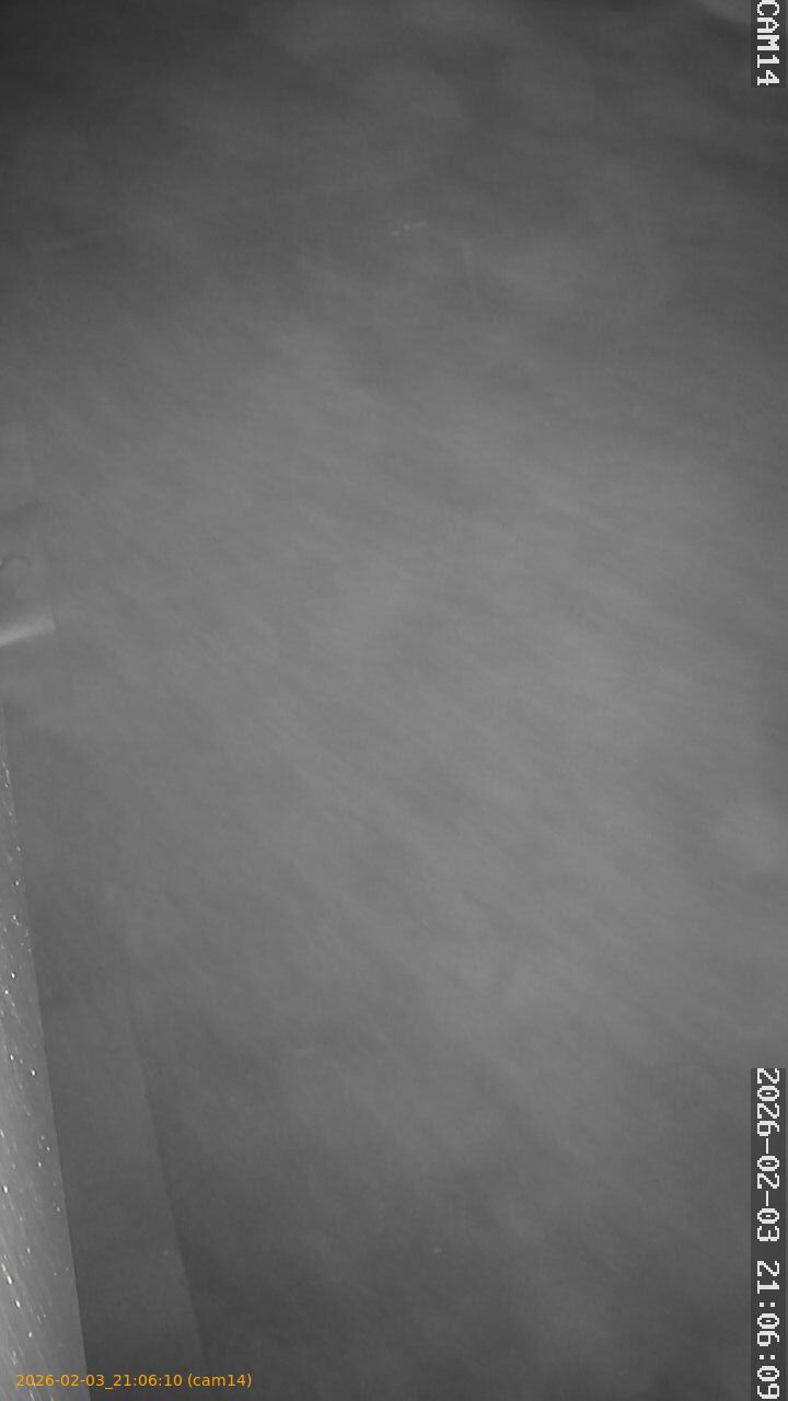 thumbnail_20260203210610