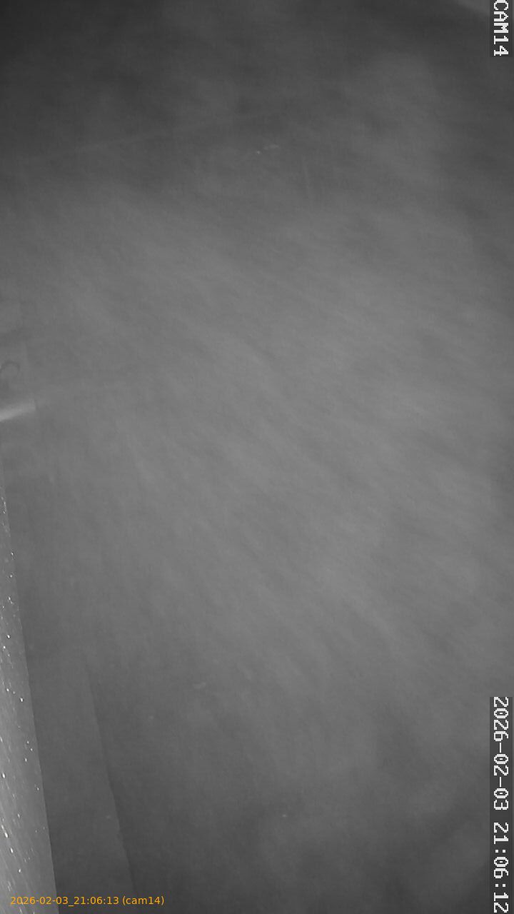 thumbnail_20260203210613