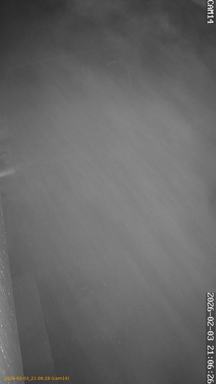 thumbnail_20260203210628