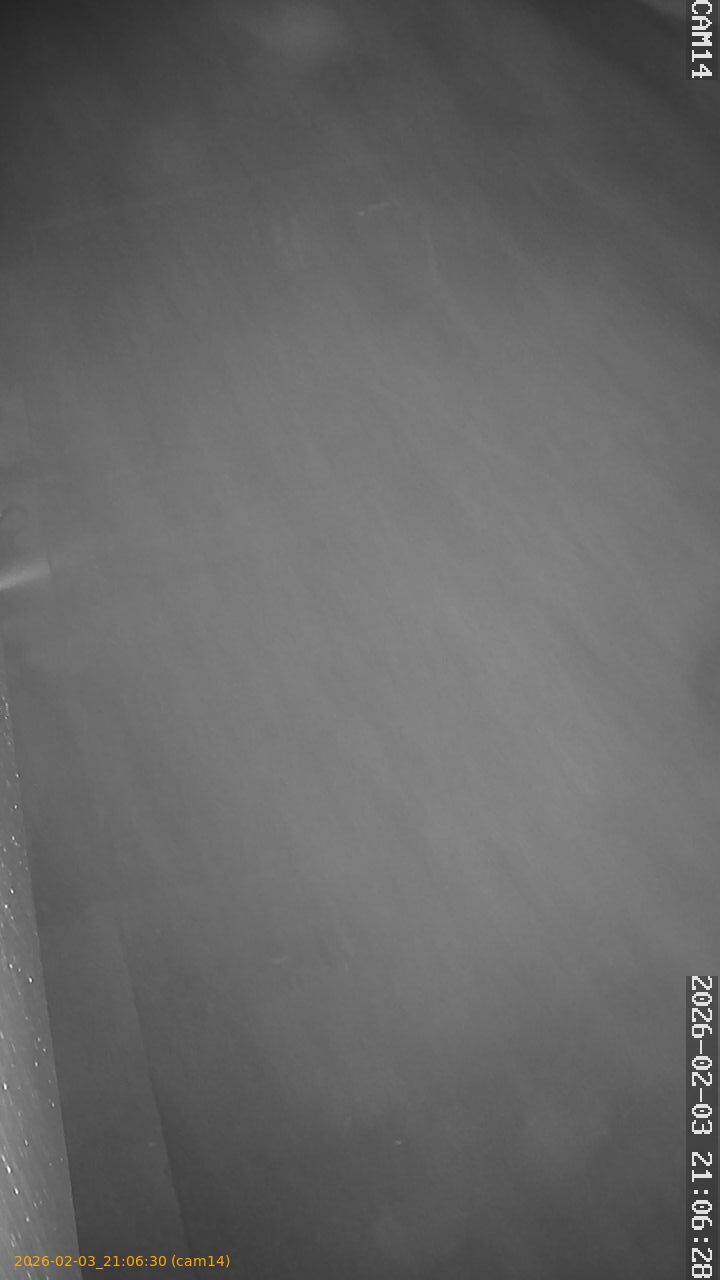 thumbnail_20260203210630