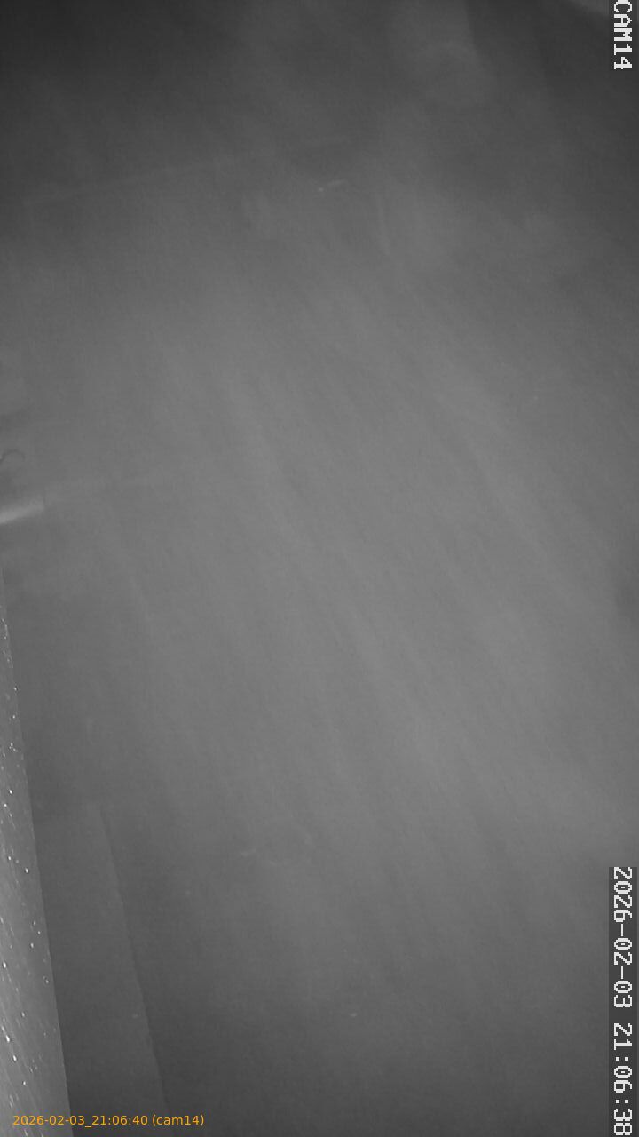 thumbnail_20260203210640