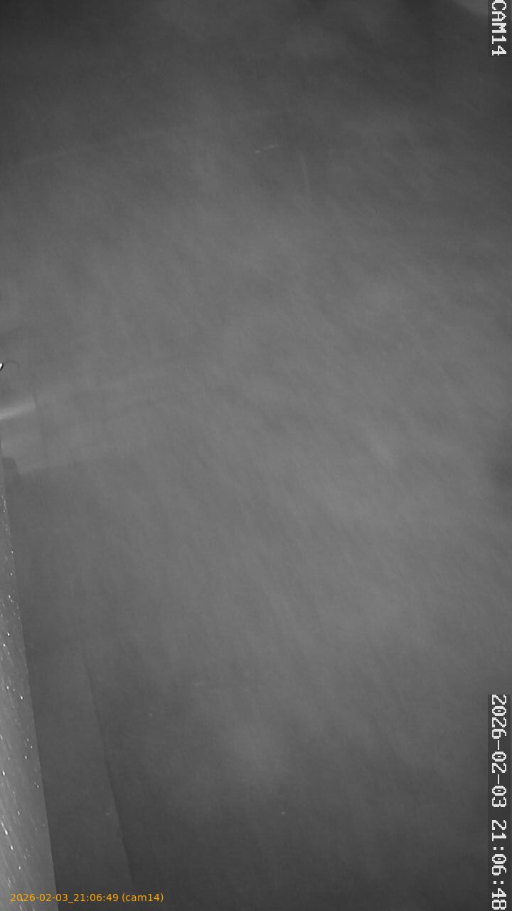 thumbnail_20260203210649