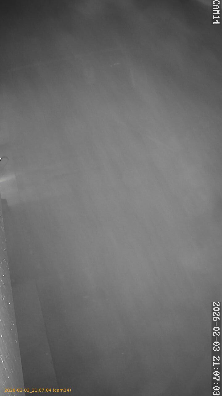 thumbnail_20260203210704