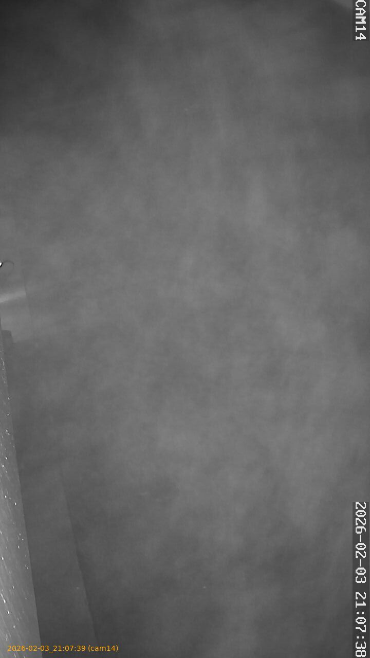 thumbnail_20260203210739