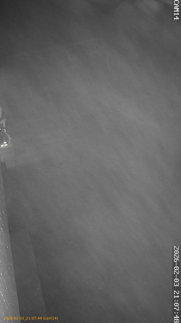 thumbnail_20260203210749