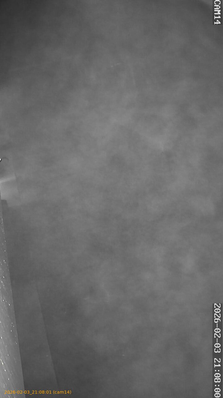 thumbnail_20260203210801