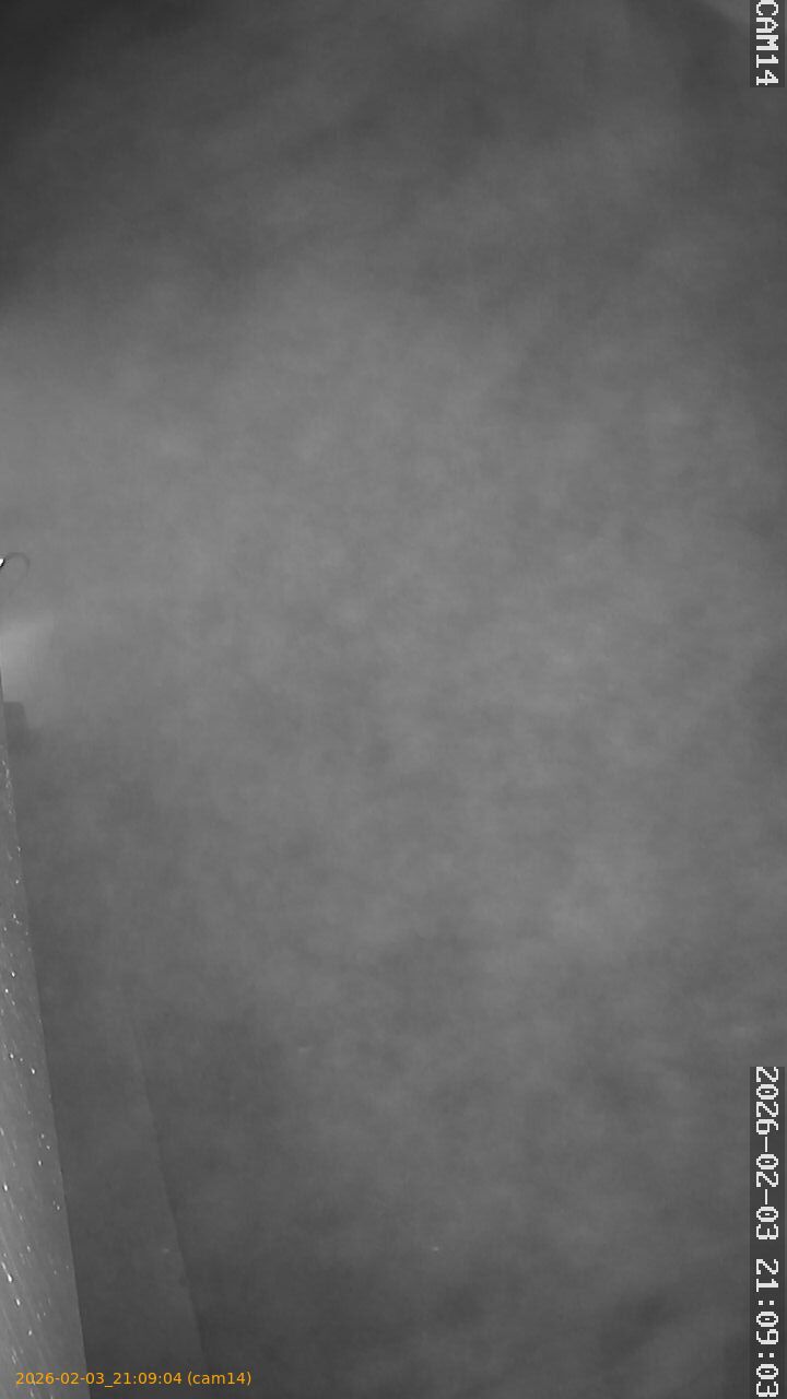 thumbnail_20260203210904