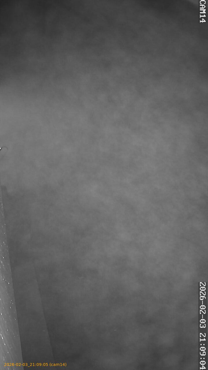 thumbnail_20260203210905