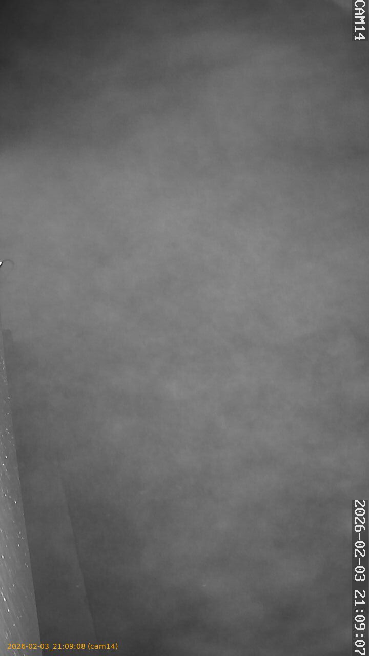 thumbnail_20260203210908