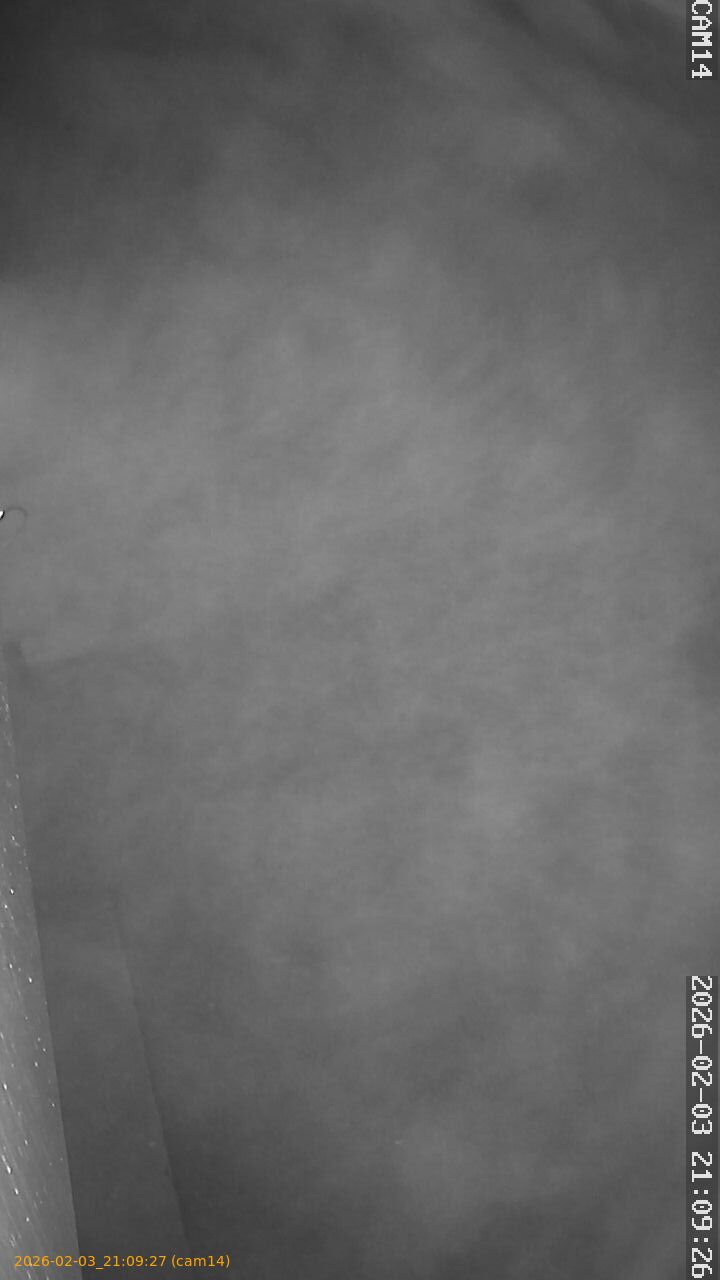 thumbnail_20260203210927