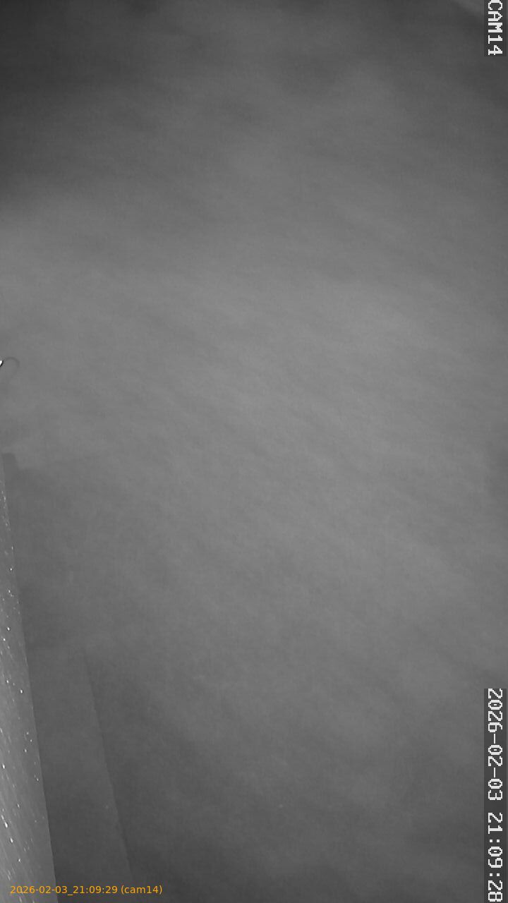 thumbnail_20260203210929