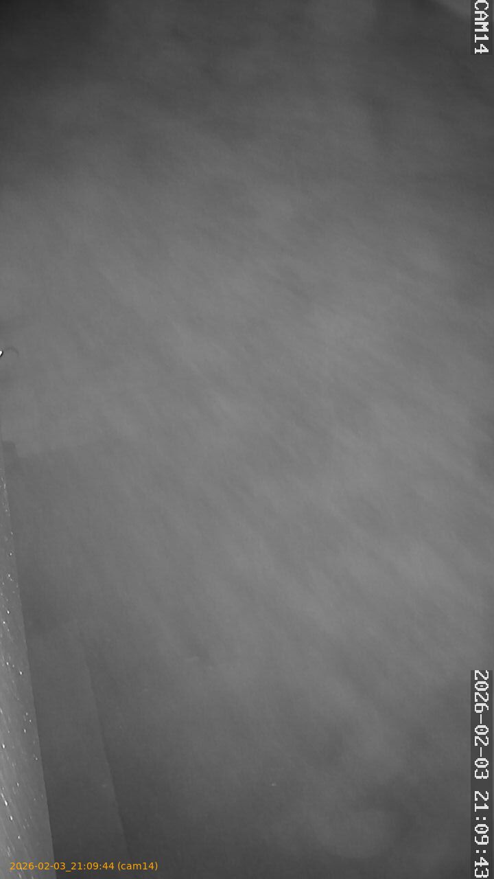 thumbnail_20260203210944