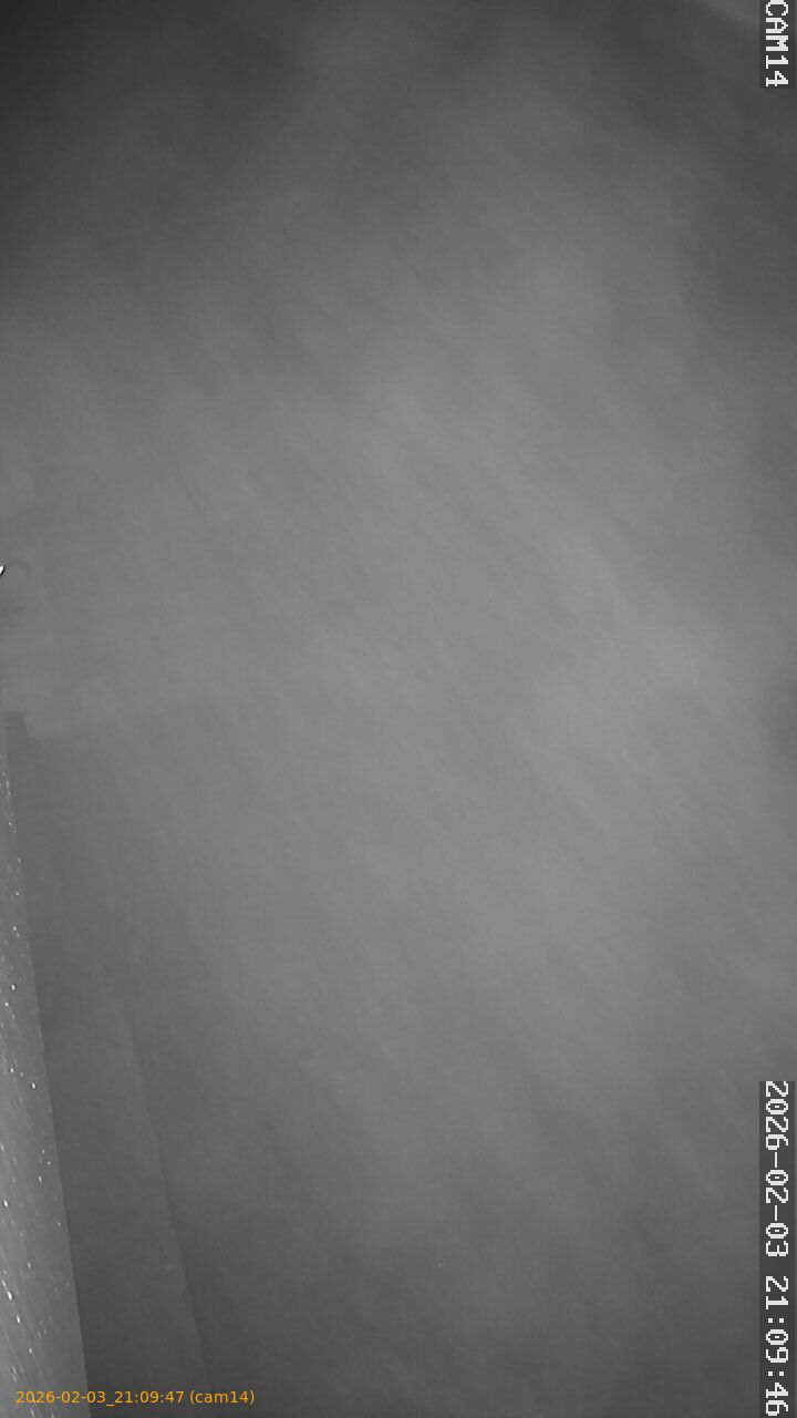 thumbnail_20260203210947