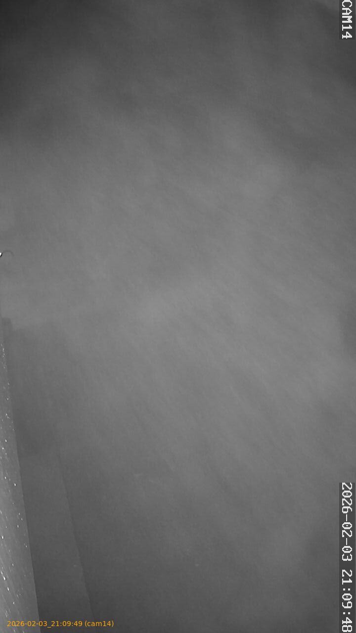 thumbnail_20260203210949