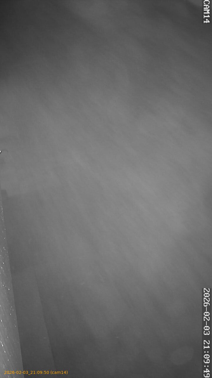 thumbnail_20260203210950