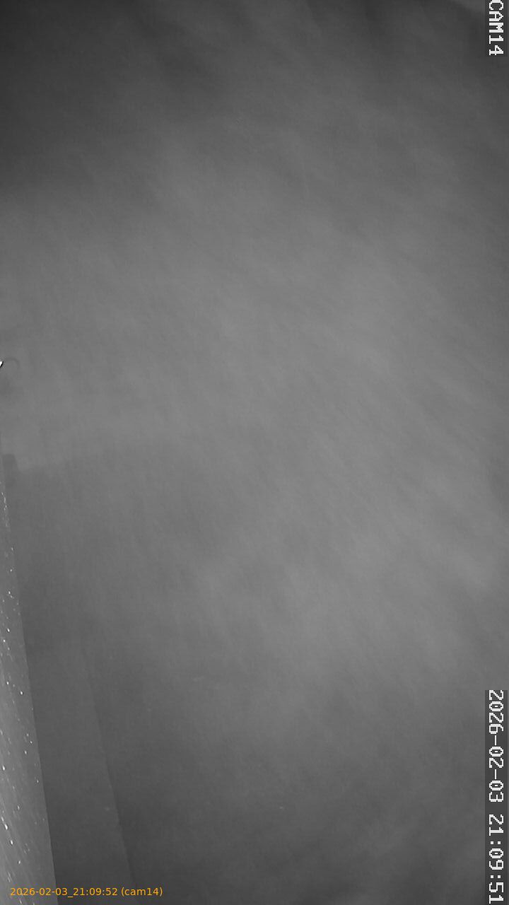 thumbnail_20260203210952