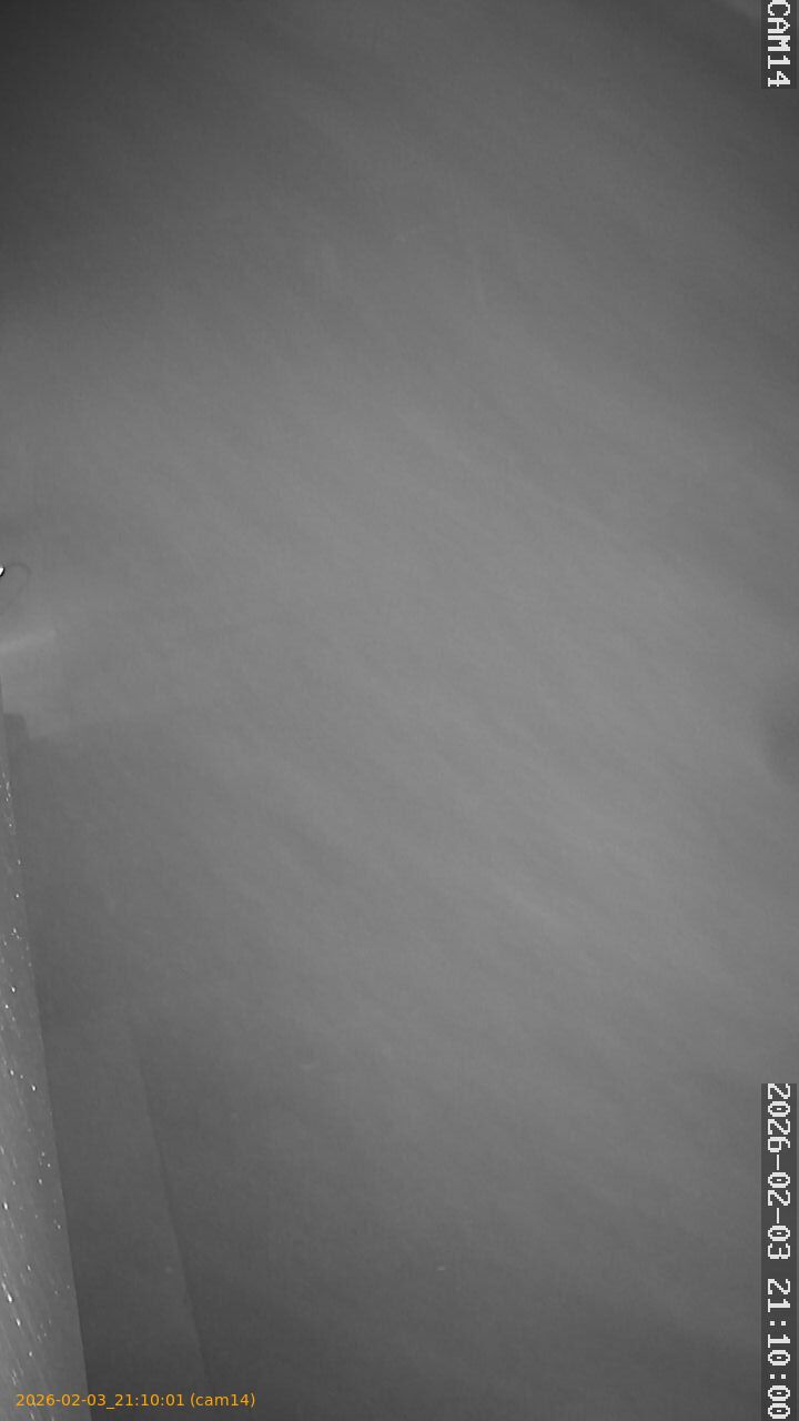 thumbnail_20260203211001