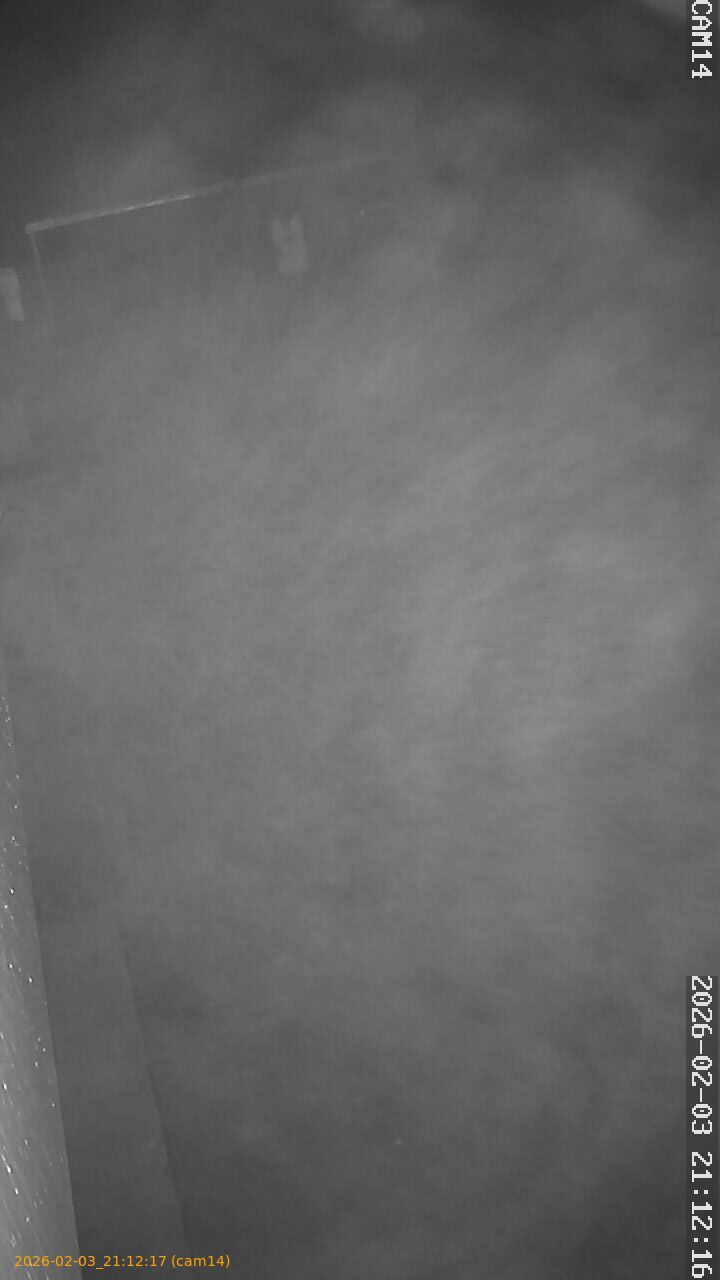 thumbnail_20260203211217