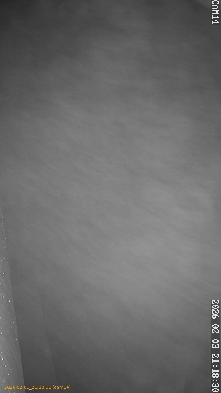 thumbnail_20260203211831