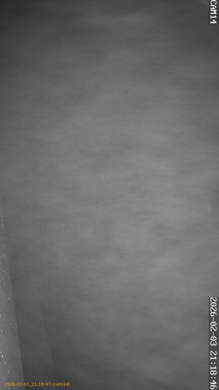 thumbnail_20260203211847