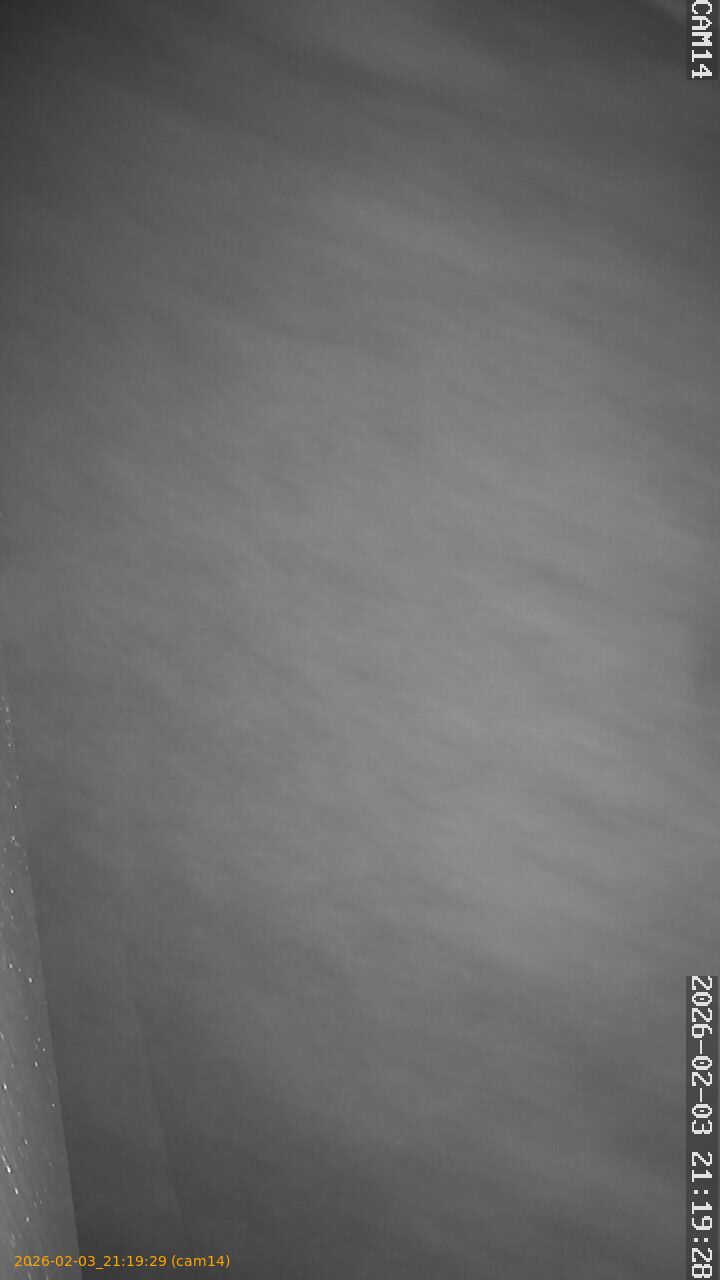 thumbnail_20260203211929