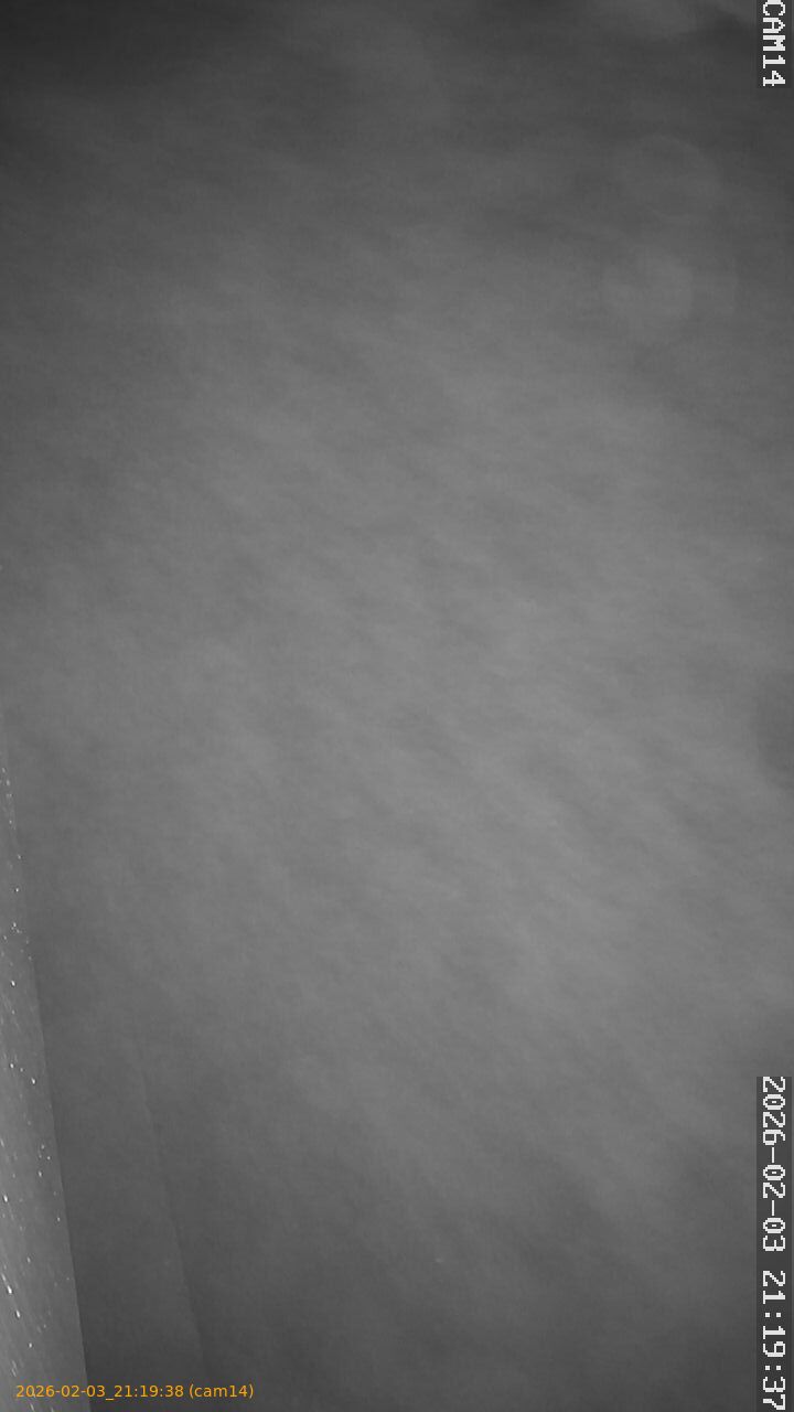 thumbnail_20260203211938