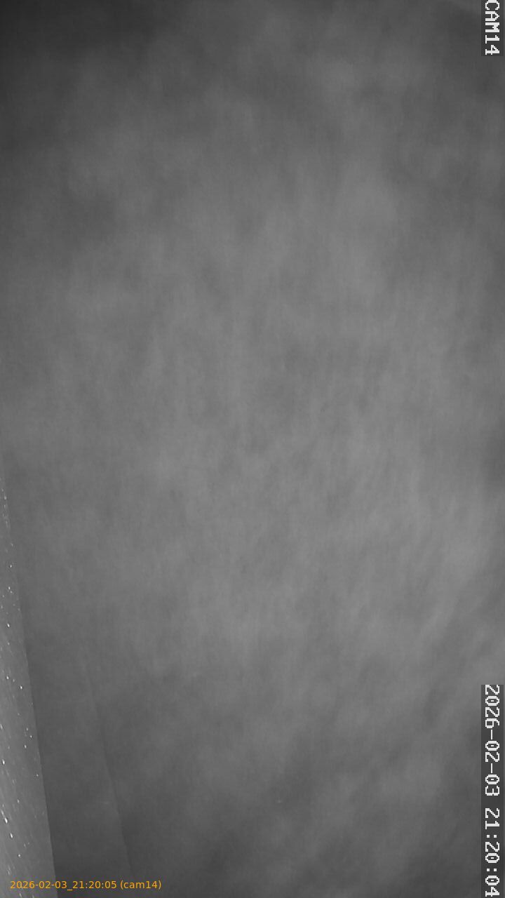 thumbnail_20260203212005