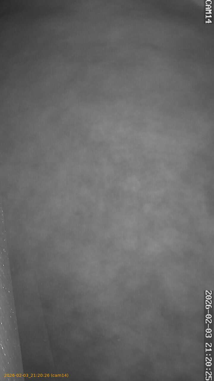 thumbnail_20260203212026