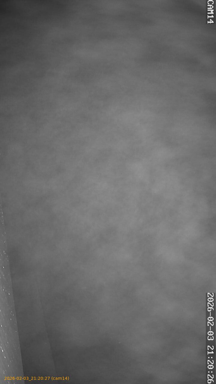 thumbnail_20260203212027