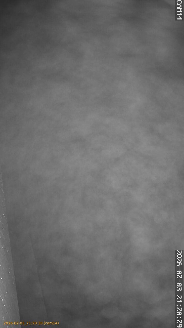 thumbnail_20260203212030