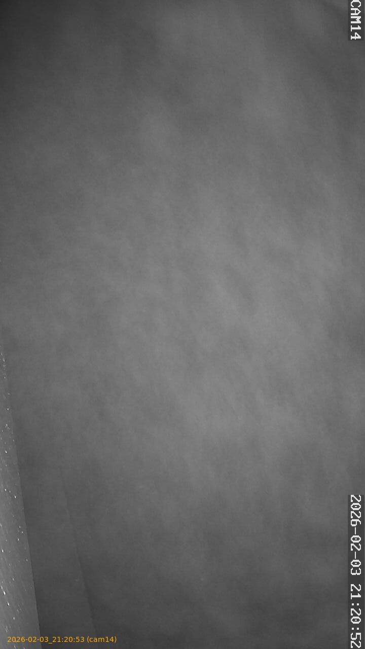 thumbnail_20260203212053