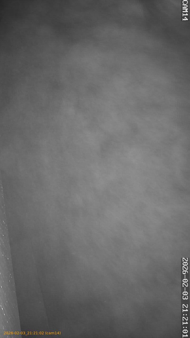 thumbnail_20260203212102