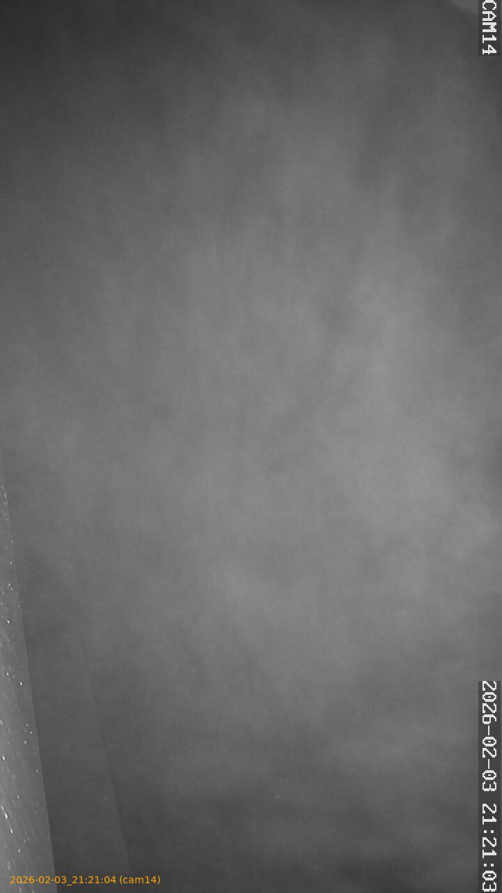 thumbnail_20260203212104