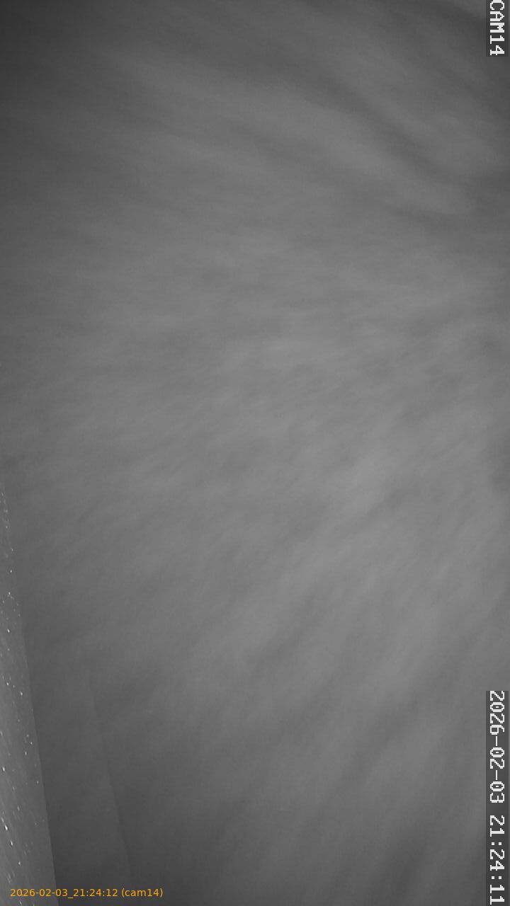 thumbnail_20260203212412