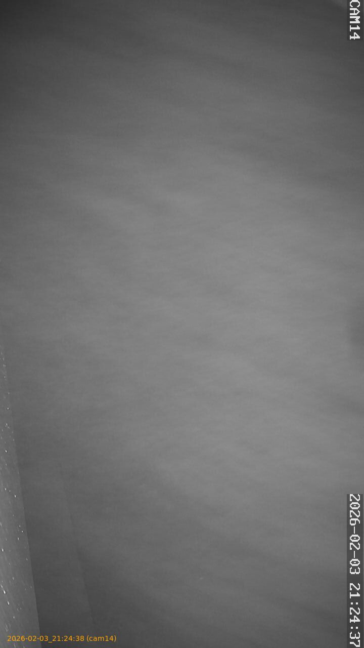 thumbnail_20260203212438