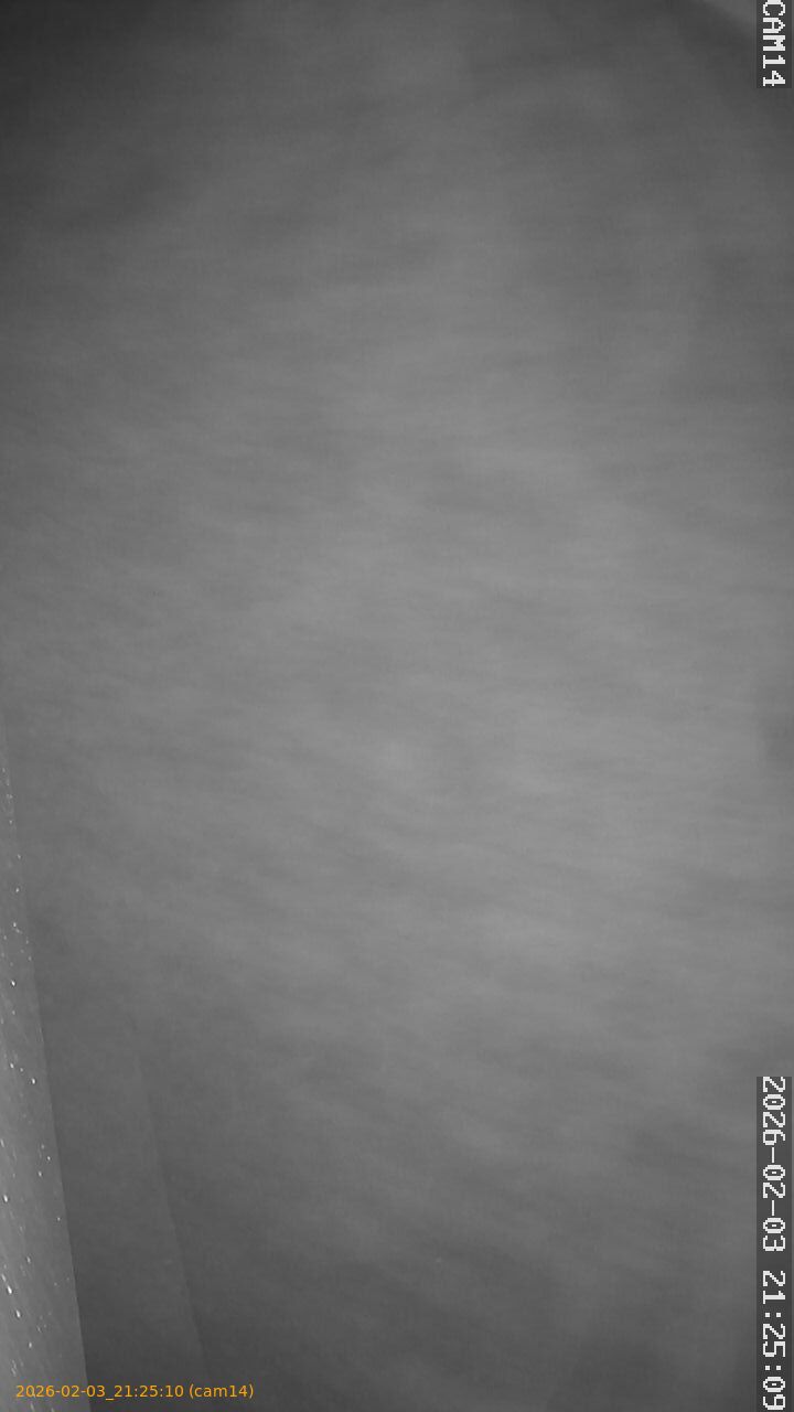 thumbnail_20260203212510