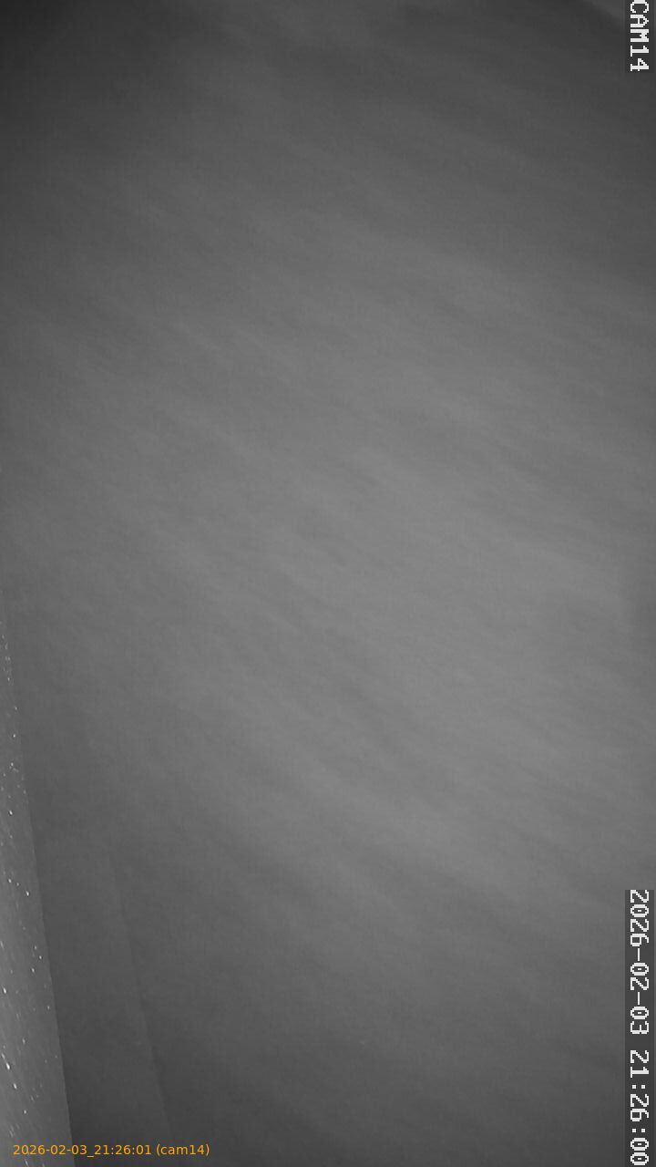 thumbnail_20260203212601