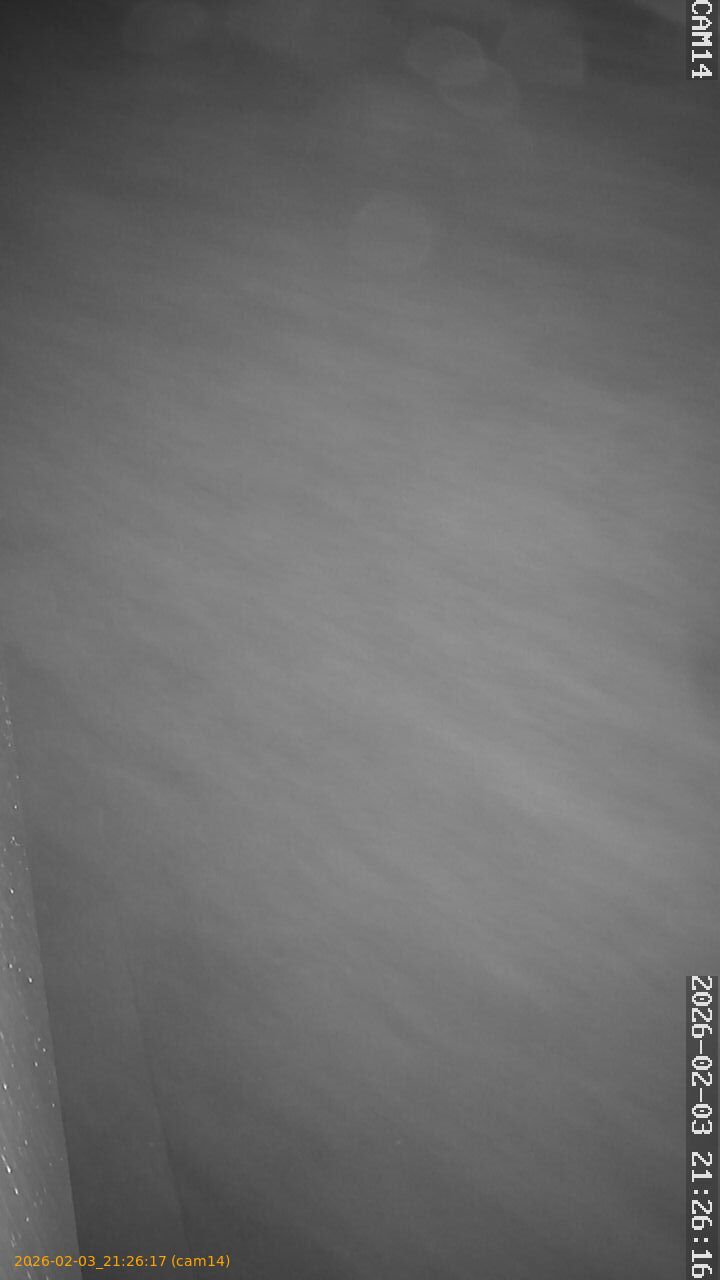 thumbnail_20260203212617