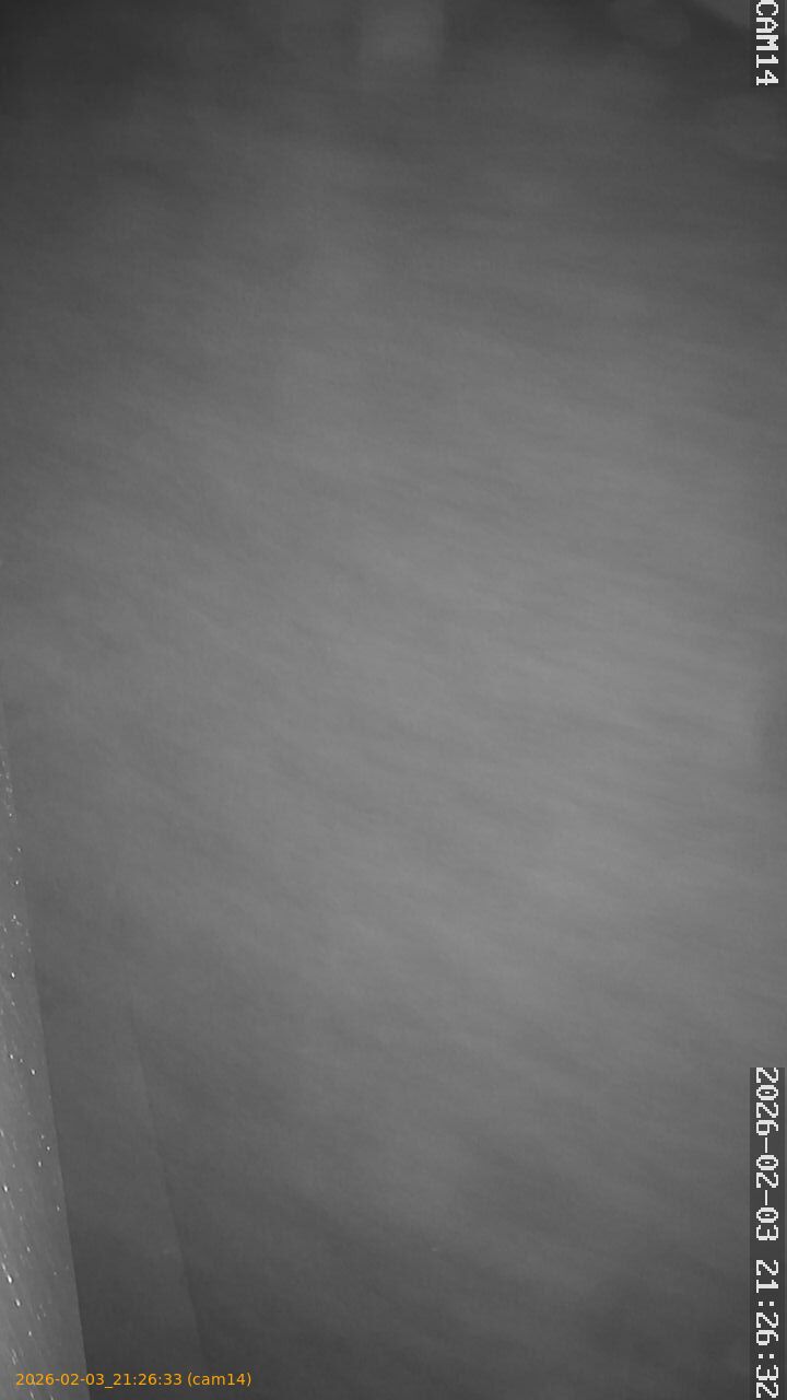 thumbnail_20260203212633