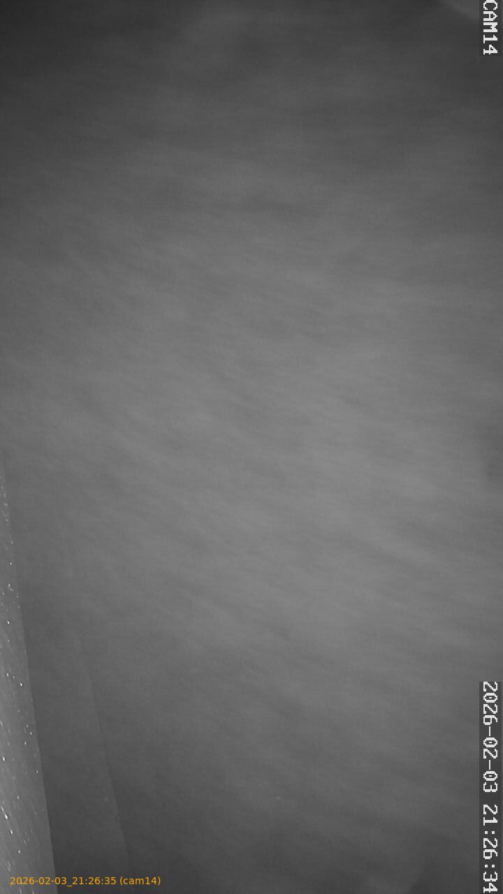 thumbnail_20260203212635