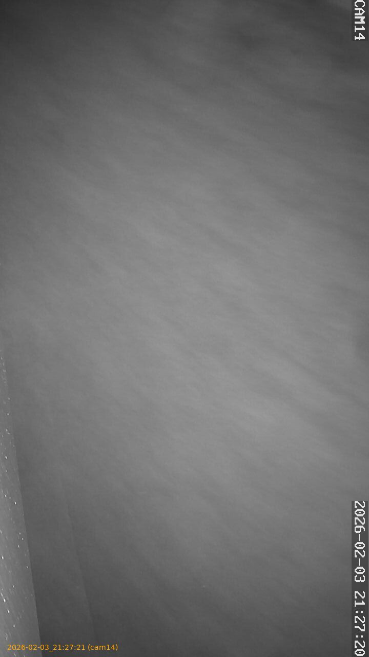 thumbnail_20260203212721