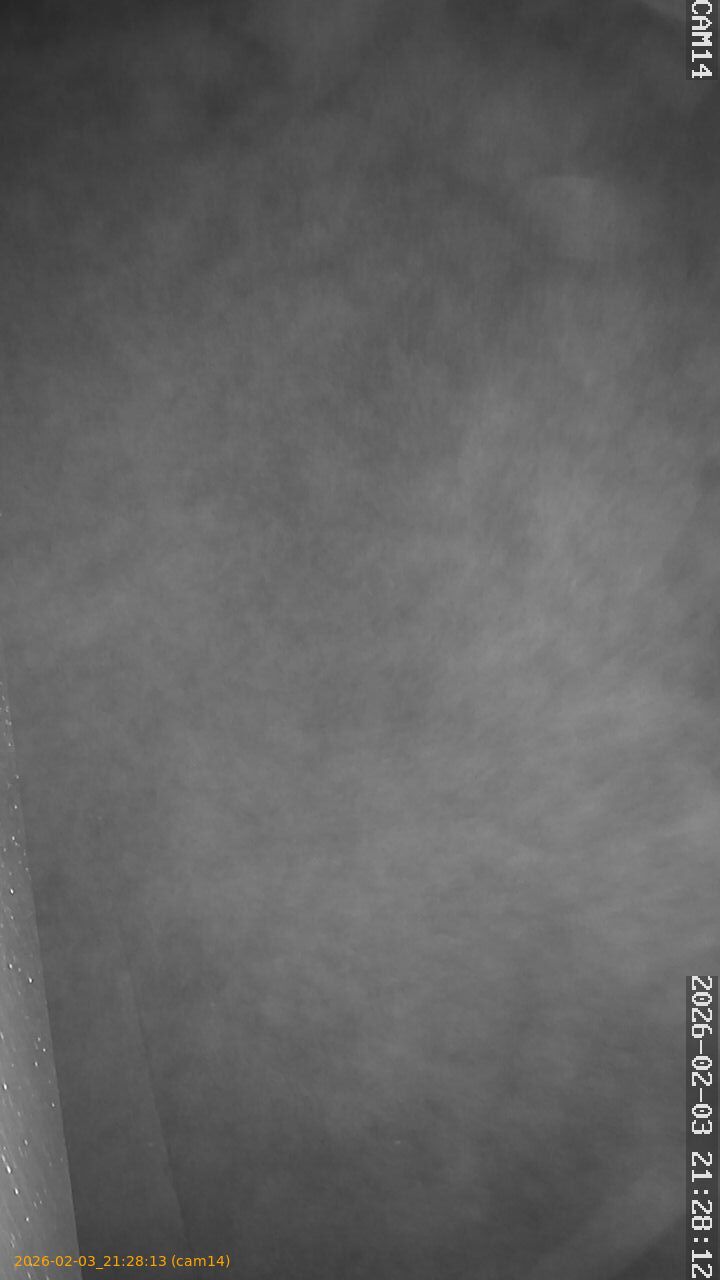 thumbnail_20260203212813