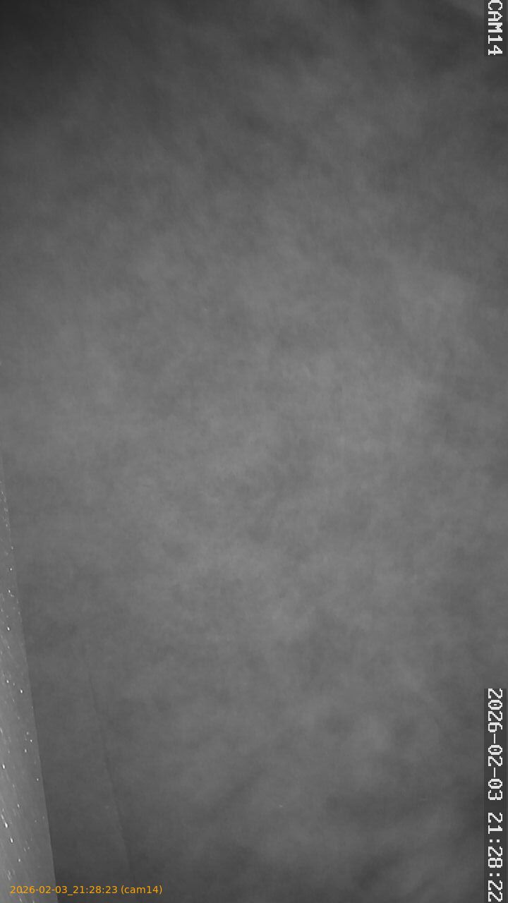 thumbnail_20260203212823