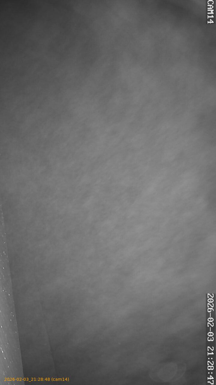 thumbnail_20260203212848