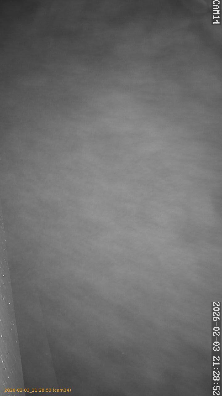 thumbnail_20260203212853