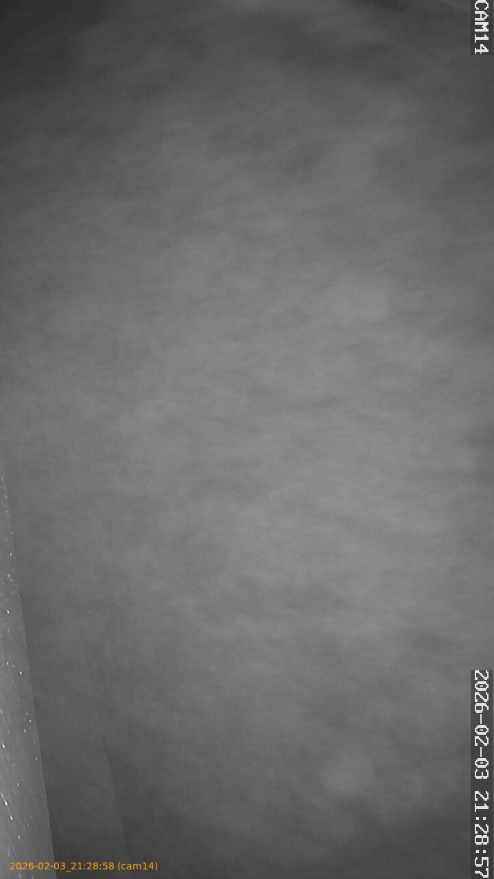 thumbnail_20260203212858