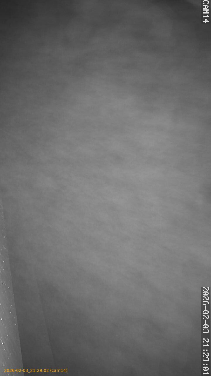 thumbnail_20260203212902